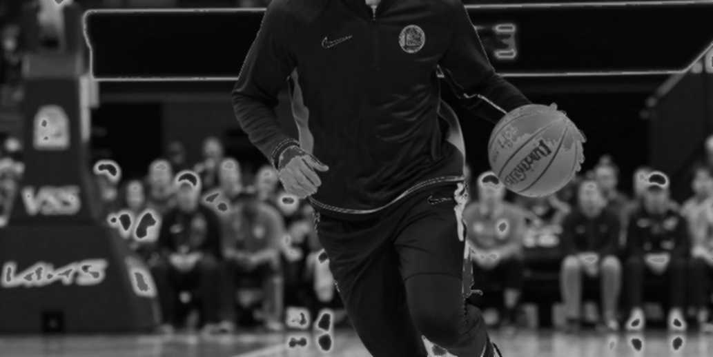 Johnny Juzang tỏa sáng, Fenerbahçe của Saras Jasikevicius đánh bại TOFAŞ trong trận giao hữu: Chi tiết đáng chú ý từ băng ghế dự bị Johnny Juzang tỏa sáng, Fenerbahçe của Saras Jasikevicius đánh bại TOFAŞ trong trận giao hữu: Chi tiết đáng chú ý từ băng ghế dự bị