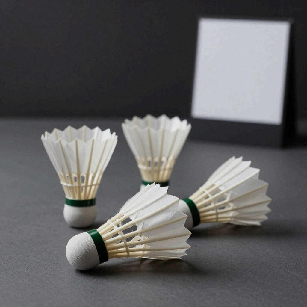 Vietnamese Badminton and the Data Gap Ahead of the New Season