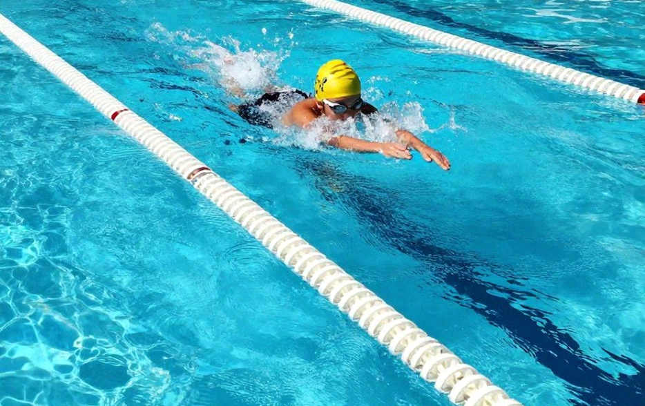 Vietnamese Swimming: From Training Pools to the Big Arena — The Journey to Reclaim the Trajectory Vietnamese Swimming: From Training Pools to the Big Arena — The Journey to Reclaim the Trajectory